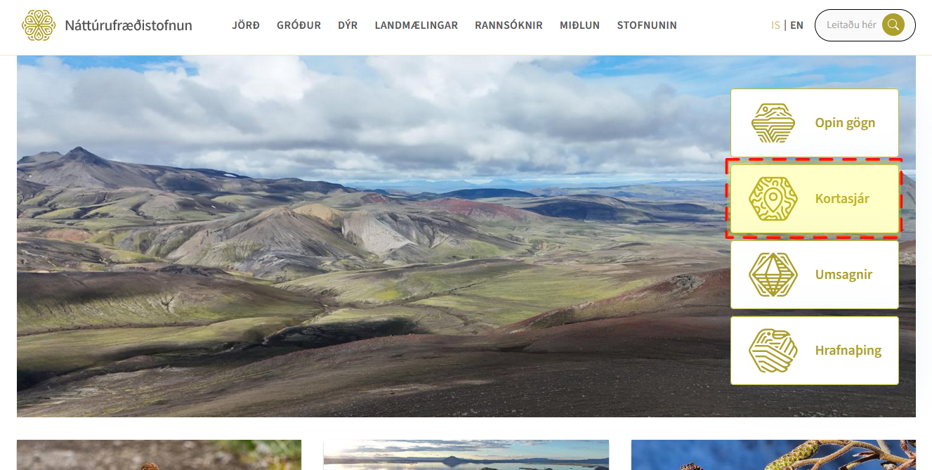 Vefsíðan